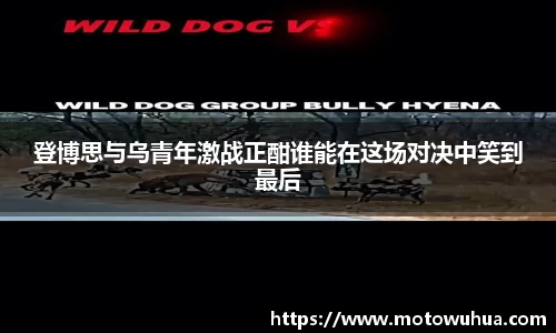 易彩堂官网
