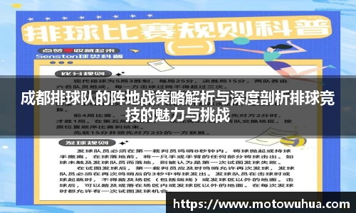 成都排球队的阵地战策略解析与深度剖析排球竞技的魅力与挑战
